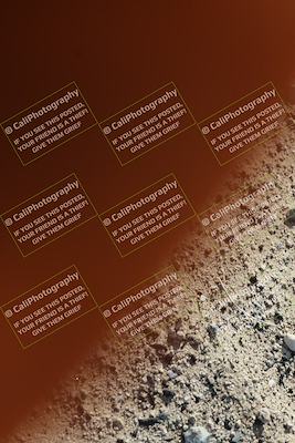 media/Jan-09-2026-Support Moto Racing (Fri) [[386df380ef]]/1-Racer Group/Practice 1 (Turn 12 Inside)/